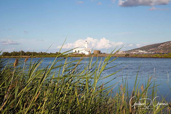 Matrimonio a Salina. faro di lingua