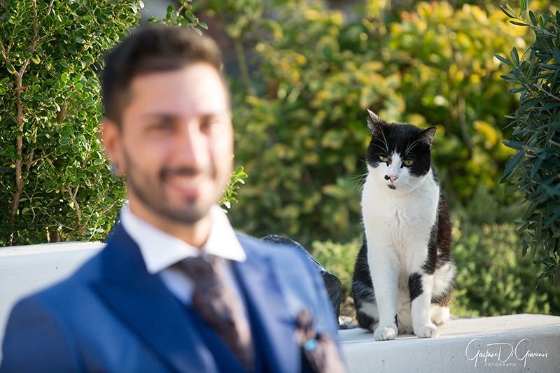 Matrimonio a Lipari: sposi e gatto