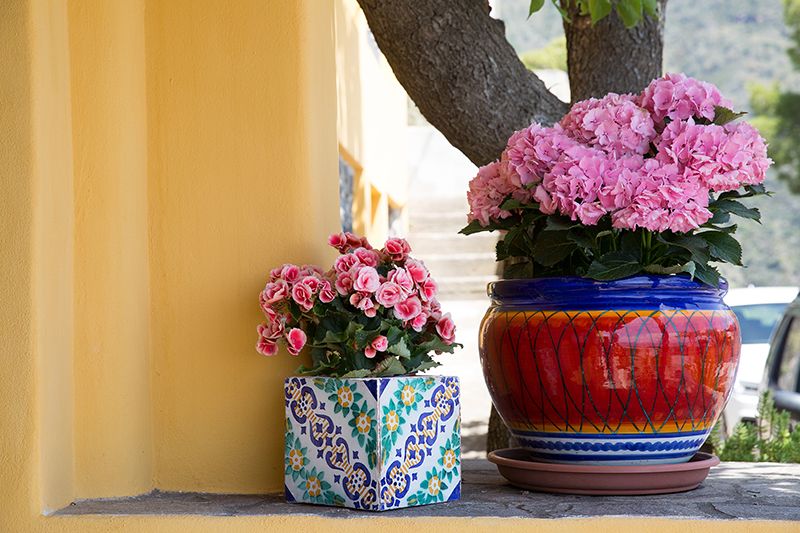 matrimonio a Salina: dettaglio fiori