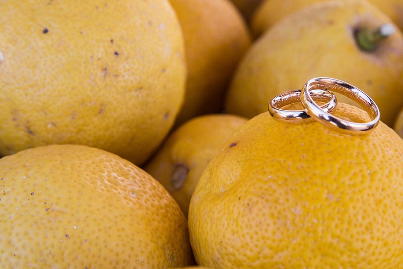 matrimonio a salina come lavora un fotografo di matrimonio