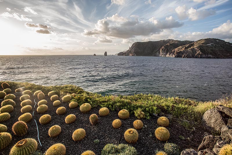 matrimonio a vulcano come lavora un fotografo di matrimonio